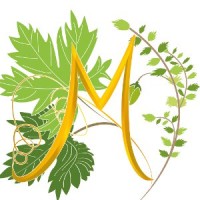 Azienda Agricola Miscasale SSA - Mulino a Pietra logo - Similar company to Comune Di Castelmagno-