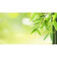 bamboo logo - Similar company to Spendex