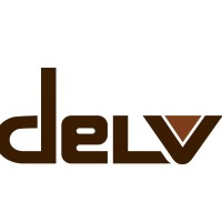 Delv Soultions logo - Similar company to Hadu