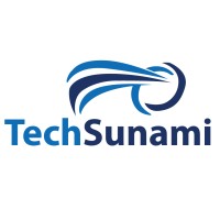 TechSunami logo - Similar company to Vivpro Corp