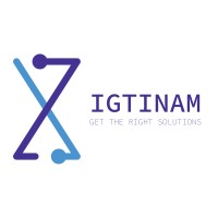 IGTINAM logo - Similar company to Wisys Technologies