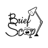 The BriefScoop logo - Similar company to Enkaare
