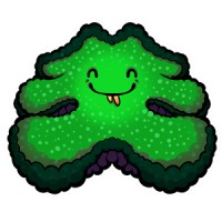 Anemone Hug Interactive, Inc. logo - Similar company to Rapidfire