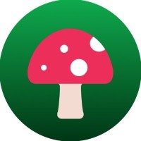 Wonder Game