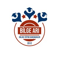 Bilge Arı Online Eğitim Danışmanlığı logo - Similar company to Kidem Grup