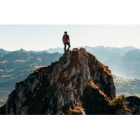 V-17 Advisory LLC logo - Similar company to Gunn Construction & Building