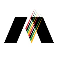 Momentum Professional Strategy Partners