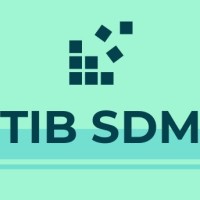TIB SDM Group logo - Similar company to T I B Group