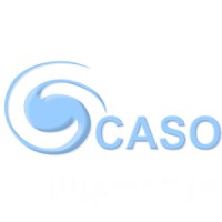 Caso Packaging logo - Similar company to Upm Packaging