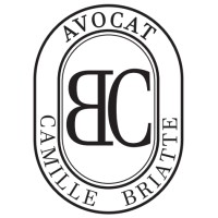 Camille BRIATTE - avocat logo - Similar company to Ellipter Avocat- Le Droit Immatériel Au Service De Vos Projets D'Entreprise