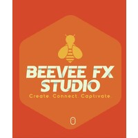 BEEVEEFX STUDIO logo - Similar company to Haves Technology