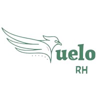 Vuelo logo - Similar company to Vuelo