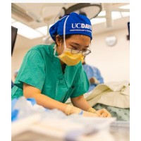 UC Davis Health Department of Anesthesiology & Pain Medicine logo - Similar company to Norcold Llc