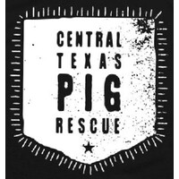 Central Texas Pig Rescue