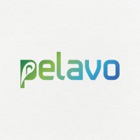 Pelavo logo - Similar company to White Heart Studio