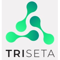 Triseta logo - Similar company to Odnd Security