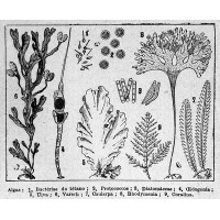 FG FOUNDATION logo - Similar company to Blueburn