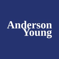 Anderson Young Ltd logo - Similar company to Triple Edge Solutions