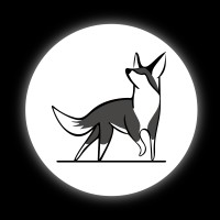 Cillyfox logo - Similar company to Mobile Development Group Iit Roorkee