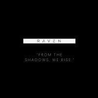RAVEN logo - Similar company to Springroll Ai