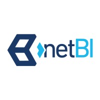 netBI Pty Ltd logo - Similar company to Bridj
