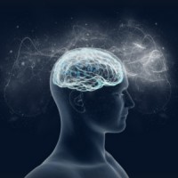 Consciousness: Science, Spirituality & Social Impact logo - Similar company to Mrxplorer