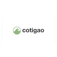 cotigao logo - Similar company to Ssh Softtech Solution