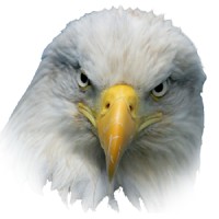 EagleTech LLC logo - Similar company to Eagletech Corp.