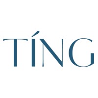 Ting logo - Similar company to Solution100 Consulting