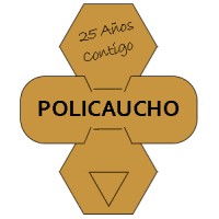 POLICAUCHO logo - Similar company to Coaser It, S.L.