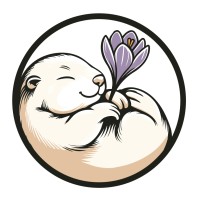 Marmot Baby Sleep Consulting logo - Similar company to Hollandchinaline