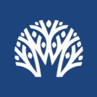 Daintree Wealth Management