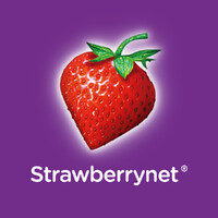 Strawberrynet logo - Similar company to Cherryz