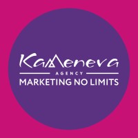 Kameneva Marketing Agency logo - Similar company to Code Synap | Digital Marketing, Web Design And Seo