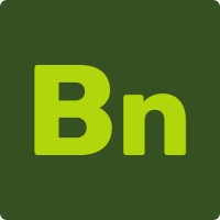 Basenine logo - Similar company to Basenine