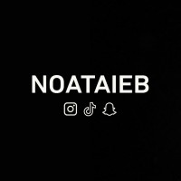 Noa Taieb LLC logo - Similar company to Sunny Days