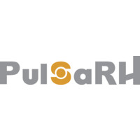 pulsarh_fr logo - Similar company to Skopai