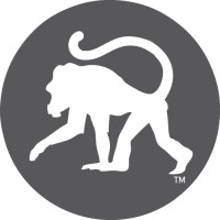 Frothy Monkey logo - Similar company to Five Daughters Bakery