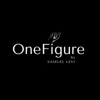 OneFigure Beauty logo - Similar company to Shenzhen Export & Trending Solutions Ltd