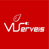 VISERVEIS logo - Similar company to Icong - Instituto Para La Calidad De Las Ong
