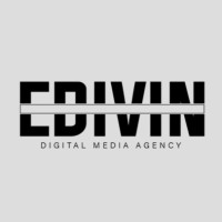 EDIVIN logo - Similar company to Work Ensure