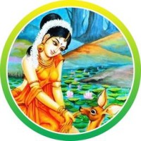 Vaseegrah Veda logo - Similar company to Tech Vaseegrah