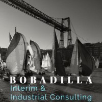 BOBADILLA Interim & Industrial Consulting logo - Similar company to Amg Interim Managers