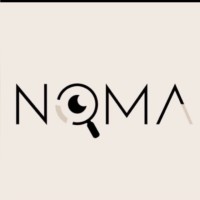 GRUPO NOMA CONECTA logo - Similar company to Capswix