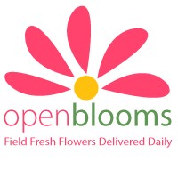Open Blooms logo - Similar company to Agilla Pro