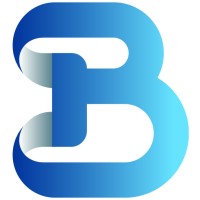 Borvista logo - Similar company to Squad
