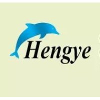 hengye logo - Similar company to Hengye Electronics-Indústria S.A