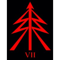 Semper Invicta Services logo - Similar company to Yantarni Security