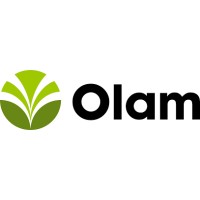 Olam Information Services Private Limited logo - Similar company to Mindsprint