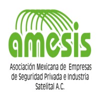 Amesis_oficial logo - Similar company to Back Up Systems Sa De Cv